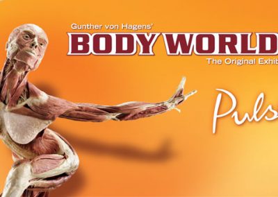 Body Works Anatomy Trip 2015-2016